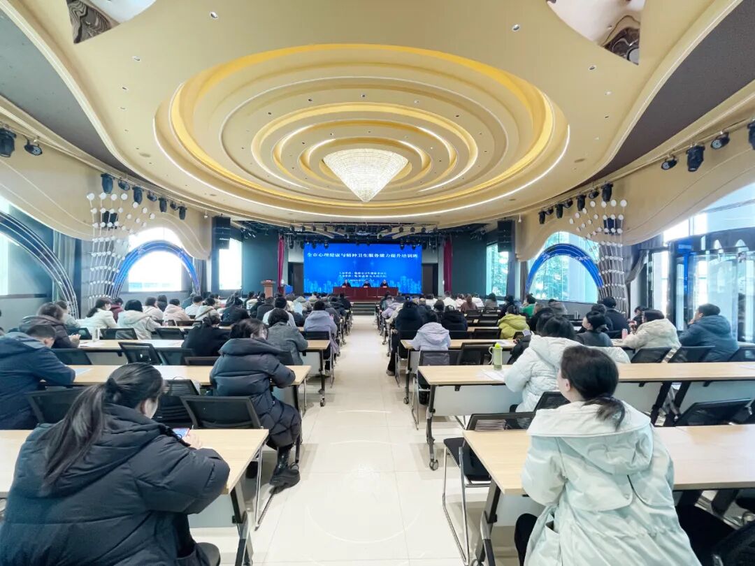 全市心理健康与精神卫生服务能力提升培训班圆满落幕插图